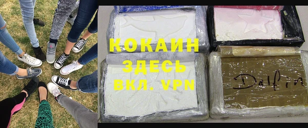 крисы Аркадак