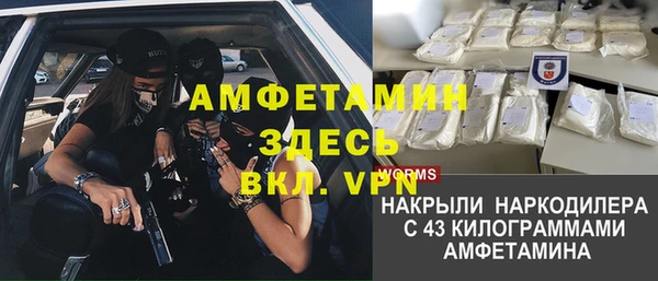 крисы Аркадак