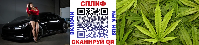 Марихуана сатива Рославль